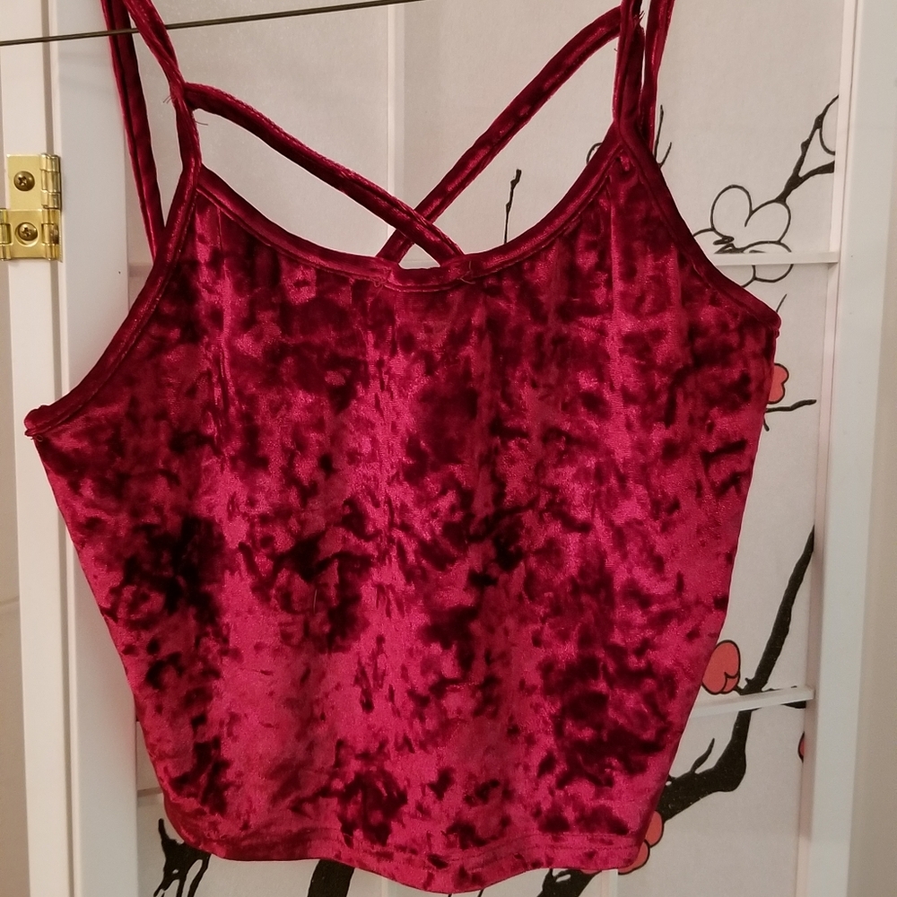 Velvet Crop Tank - Picture 3 of 3